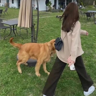 绿波出浴